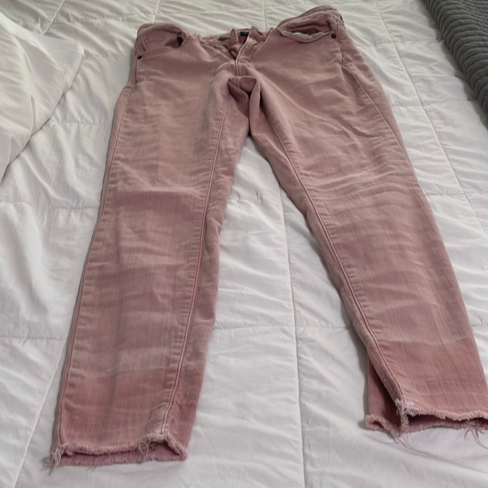 Target Cropped Pants